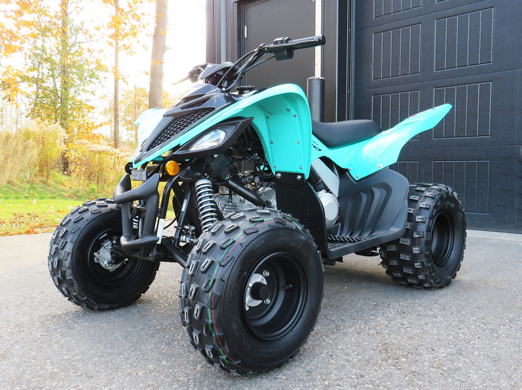 2025 Yamaha Raptor 110