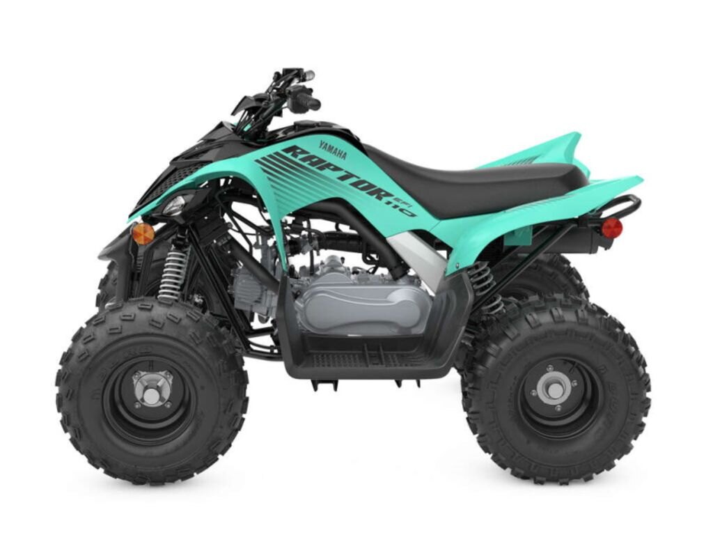 2025 Yamaha Raptor 110