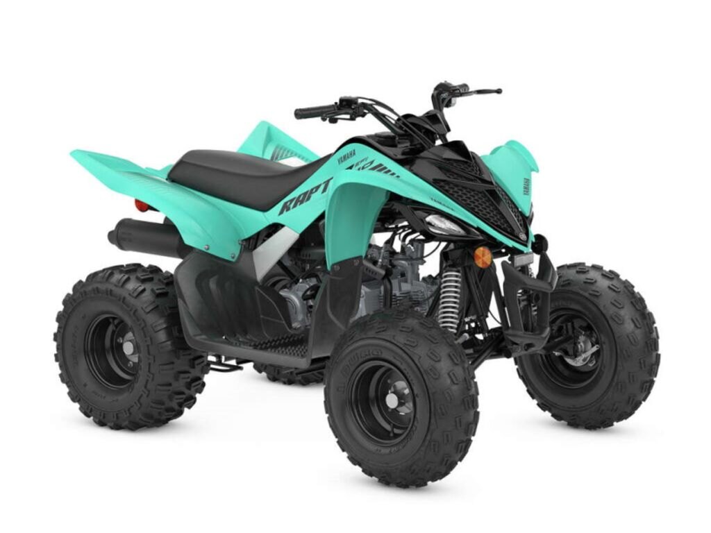 2025 Yamaha Raptor 110