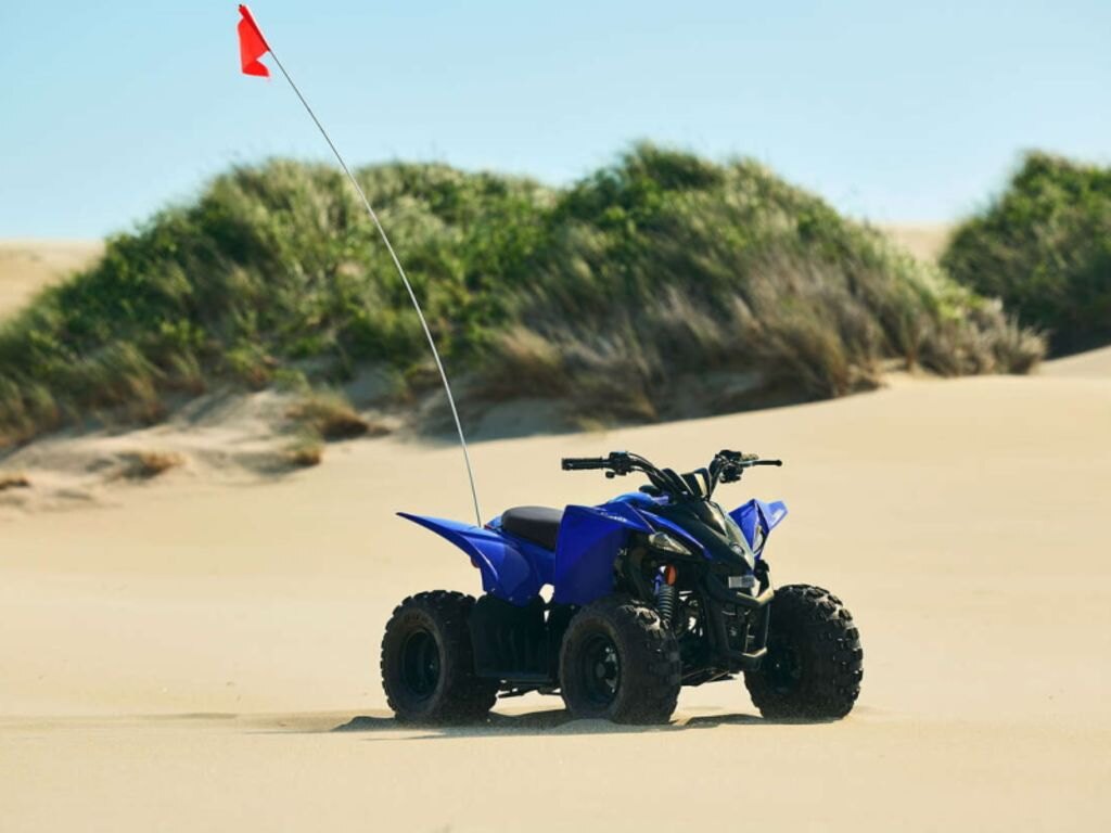 2024 Yamaha YFZ50