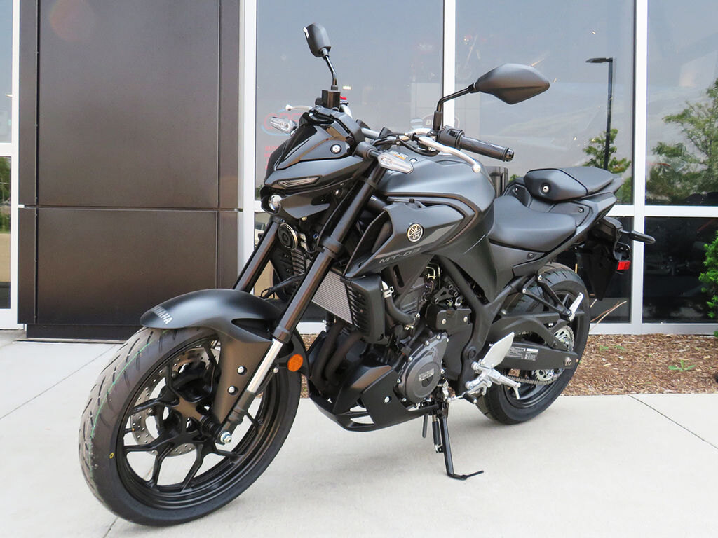 2025 Yamaha Grizzly EPS SE