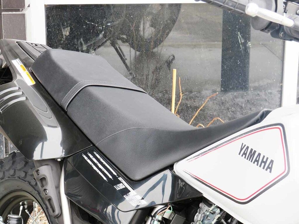 2025 Yamaha TW200