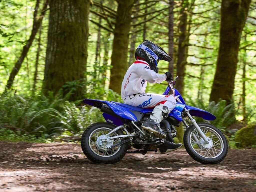 2027 Yamaha TT R 110