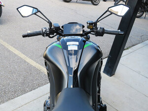 2026 Kawasaki Z1100 SE