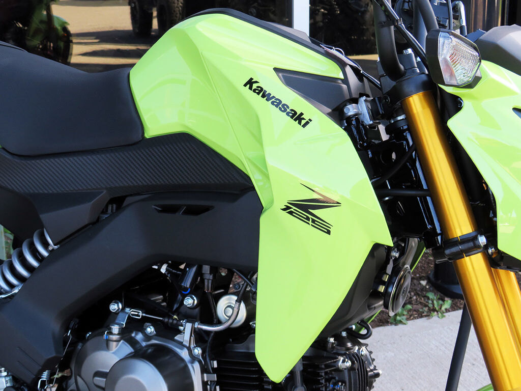 2026 Kawasaki Z125 PRO