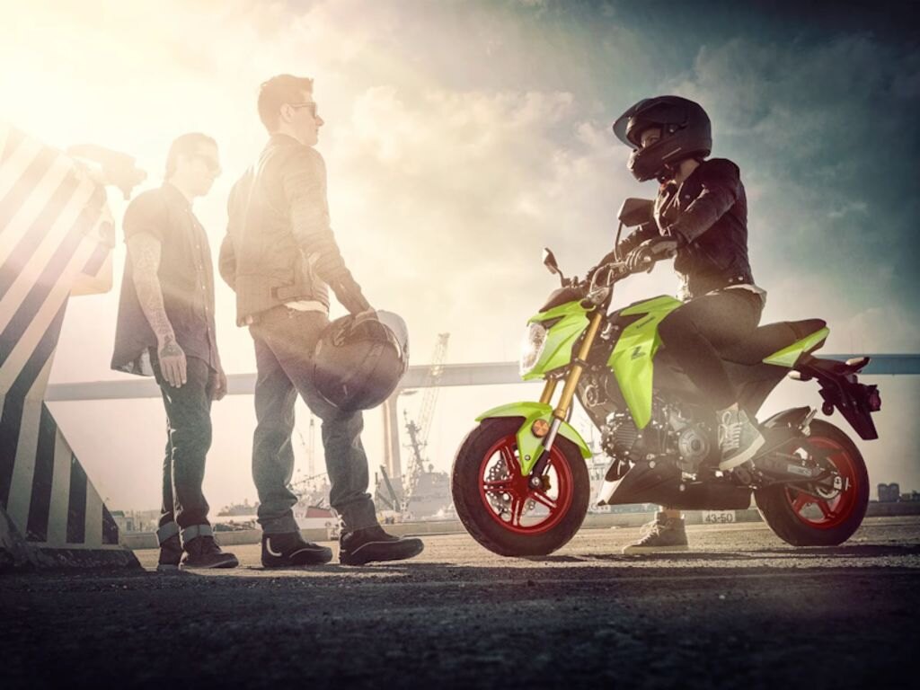 2026 Kawasaki Z125 PRO