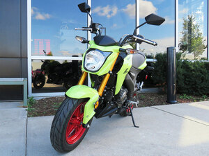 2026 Kawasaki Z125 PRO