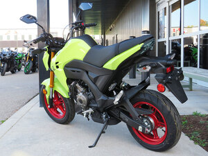 2026 Kawasaki Z125 PRO