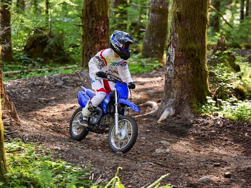 2027 Yamaha TT R 110