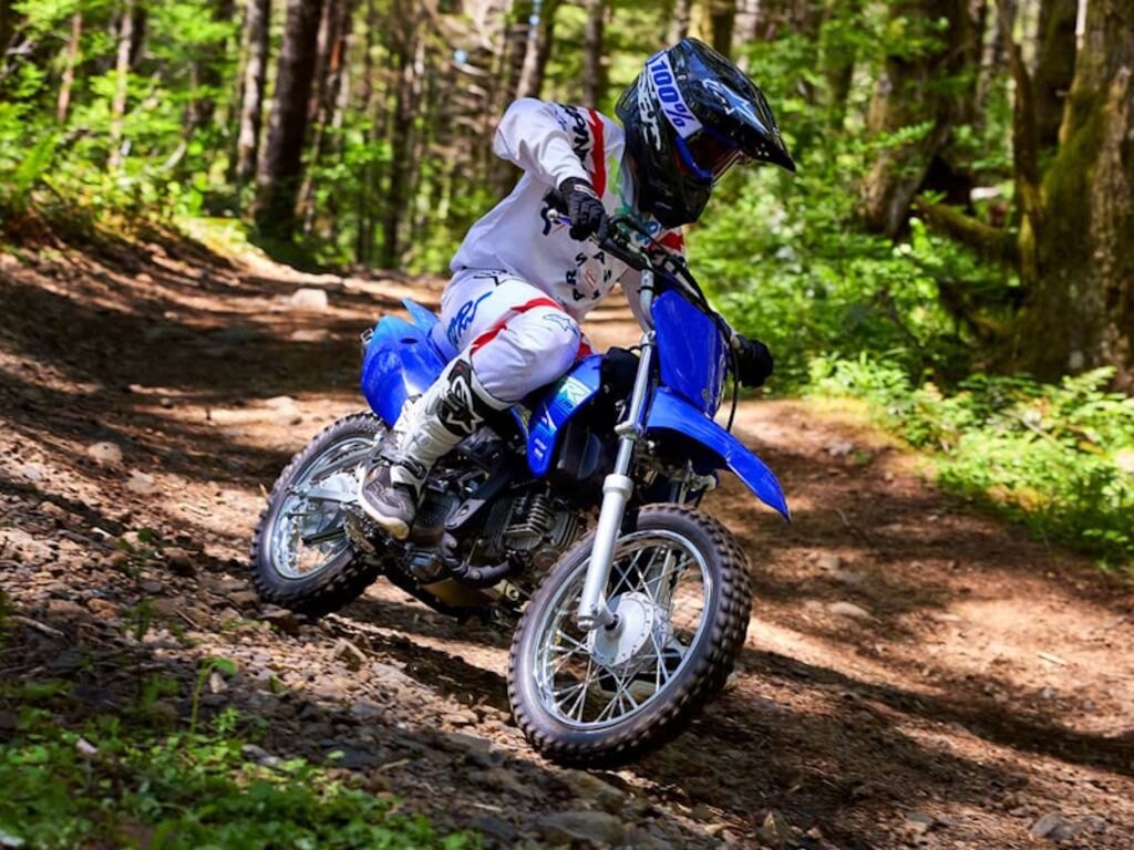 2027 Yamaha TT R 110
