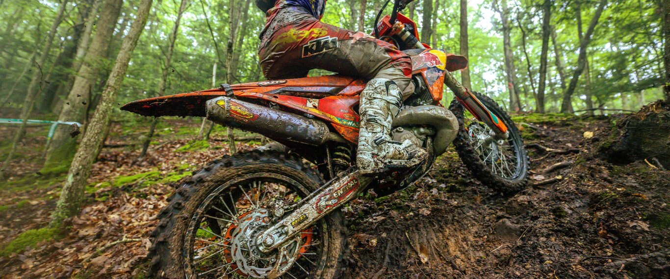 2025 KTM 790 Duke ORANGE