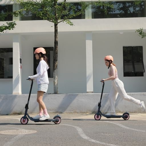 Ninebot KickScooter C20