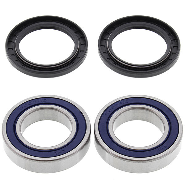 ALL BALLS WHEEL BEARING KIT (25 1321)