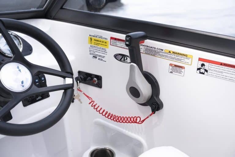 2025 Stingray 191DC SKY BLUE