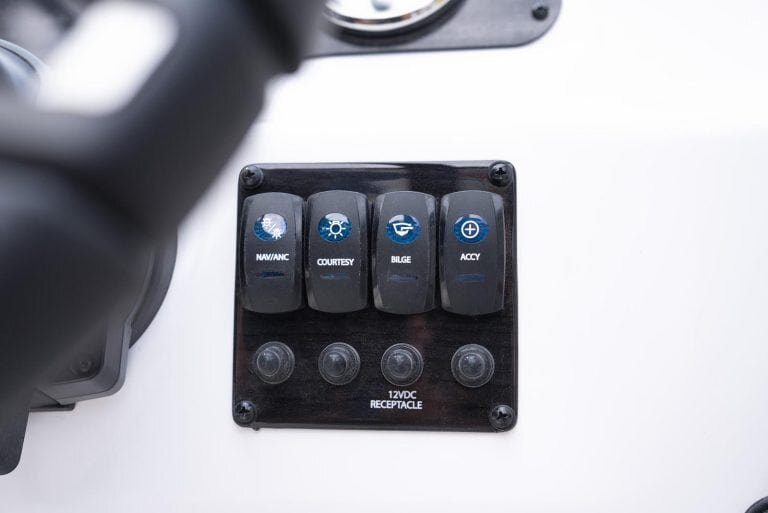 2025 Stingray 191DC BLACK CHERRY