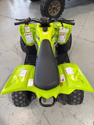 2026 Yamaha Raptor 110 Acid Green
