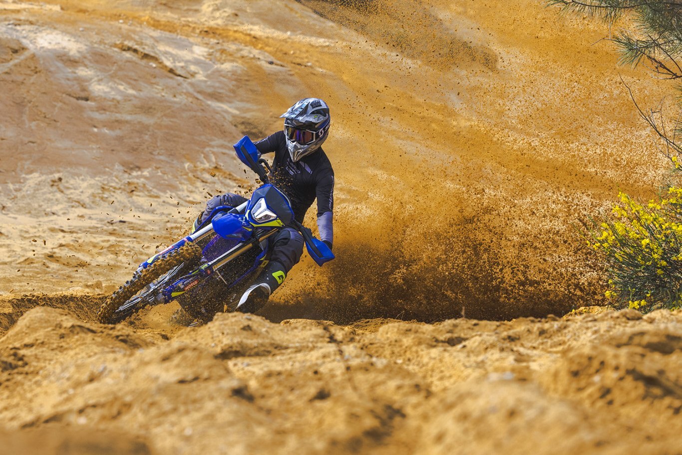 Sherco SE F 300 Factory 4T 2025