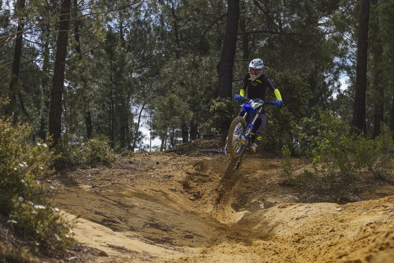 Sherco SE F 450 Factory 4T 2025