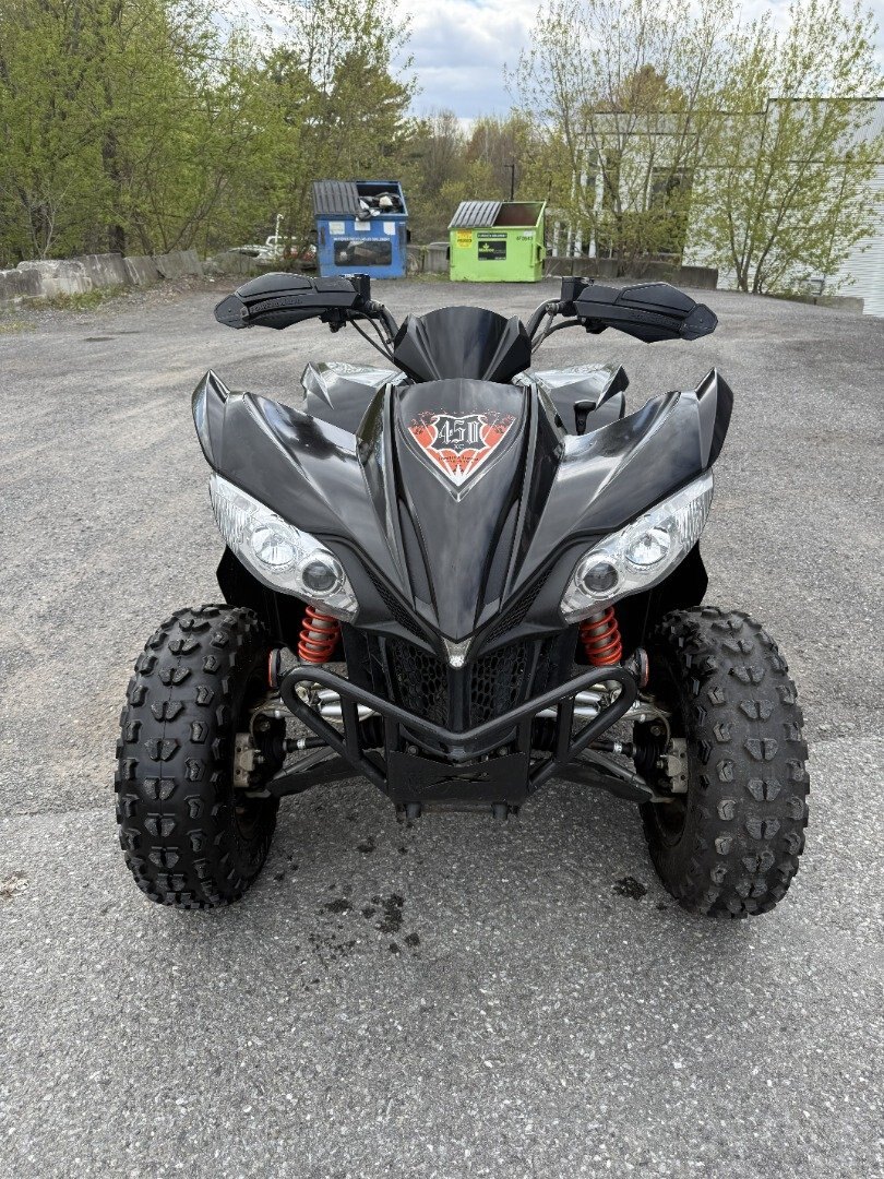 Artic Cat DX450 2012