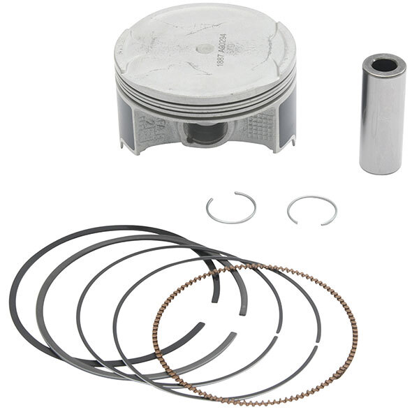 KIT DE PISTON VERTEX (24485)