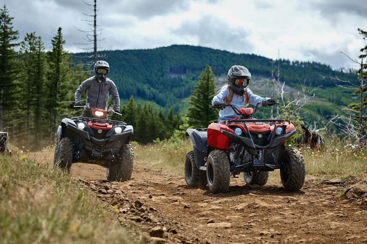 Yamaha Grizzly 110 2025 Gris métallisé/rouge