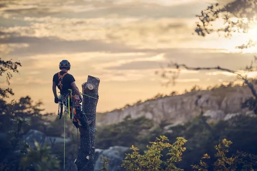 HUSQVARNA T540 XP® Mark III 14 SP21G SN .325mini (US/CA) SKU: 970 51 00 14