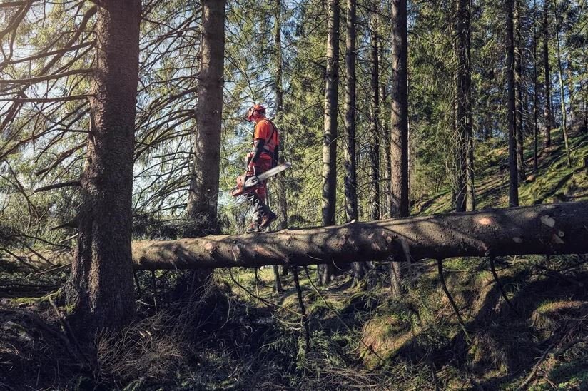 HUSQVARNA 572 XP® G 24 RSN 3/8 1,5 mm C85 SKU: 966 73 34 04