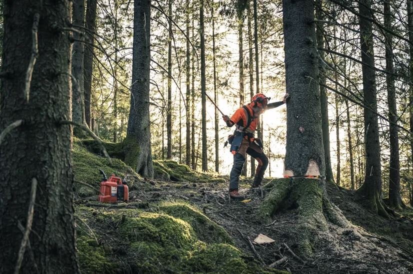 HUSQVARNA 572 XP® G 24 RSN 3/8 1,5 mm C85 SKU: 966 73 34 04