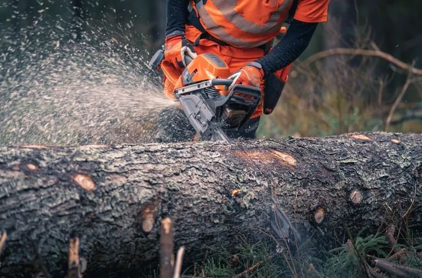 HUSQVARNA 592 XP® 32 X Tough Light RSN 3/8 1,6mm H83 SKU: 970 49 31 42