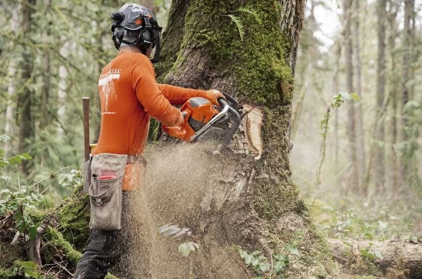 HUSQVARNA 592 XP® 32 X Tough Light RSN 3/8 1,6mm H83 SKU: 970 49 31 42