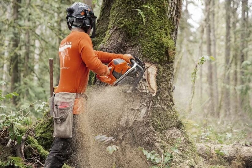 HUSQVARNA 592 XP® G 28 RSN 3/8 C83 SKU: 970 49 34 88