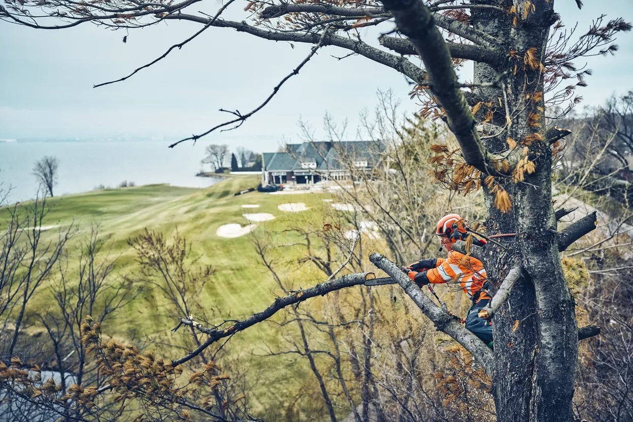 HUSQVARNA T542i XP® Bar length 16 in