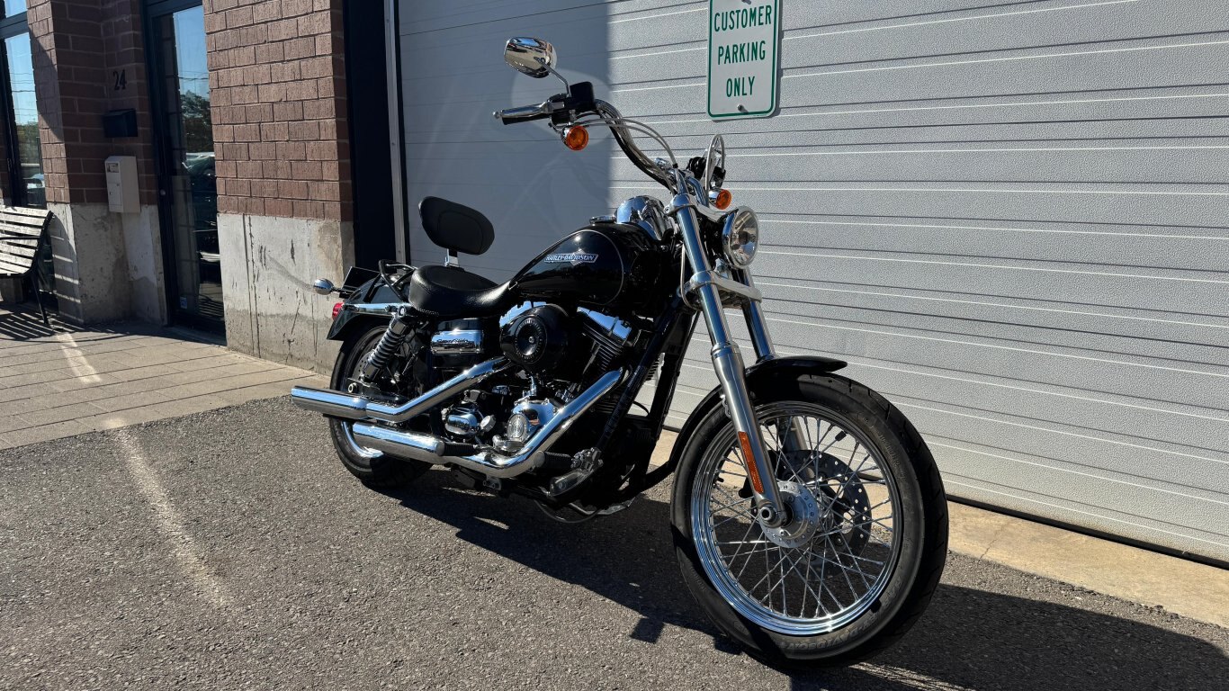 2010 Super Glide