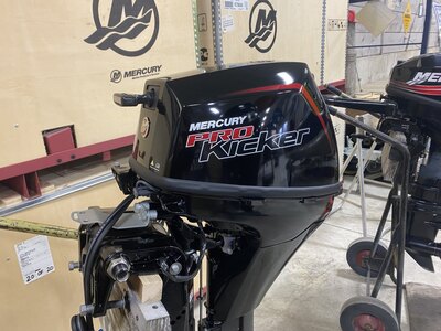 Mercury 9.9 Pro Kicker