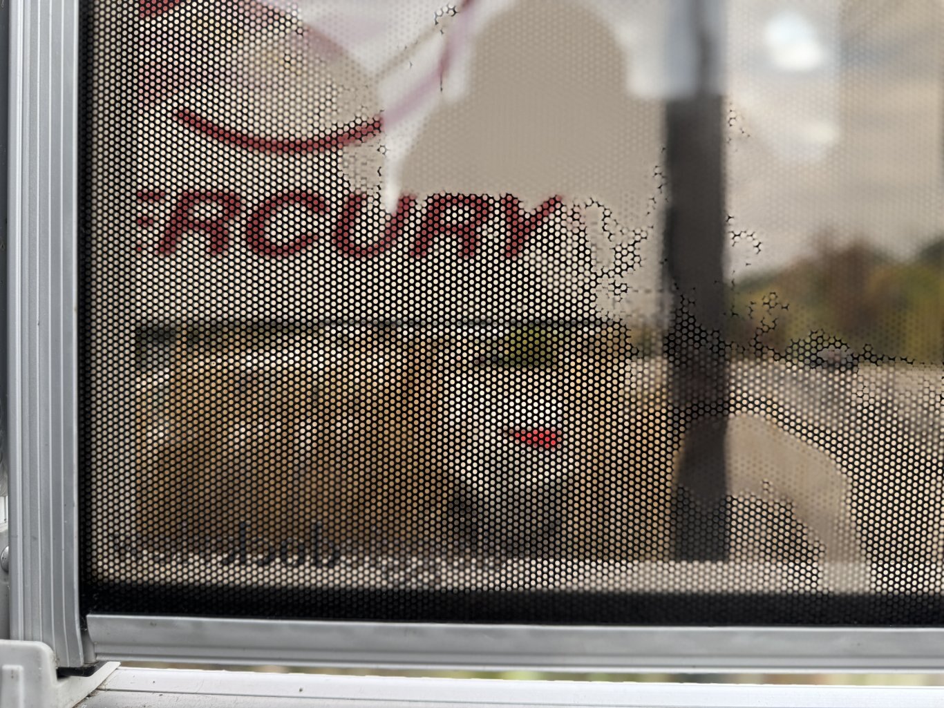 2023 Barletta Cabrio 20QC LOW HRS + NEW Trailer