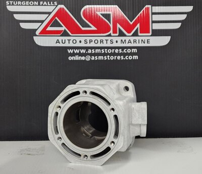 1998-2000 ZL/ZR 600 CYLINDER