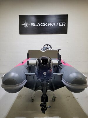 2025 Blackwater XLT 300 Grey Pink