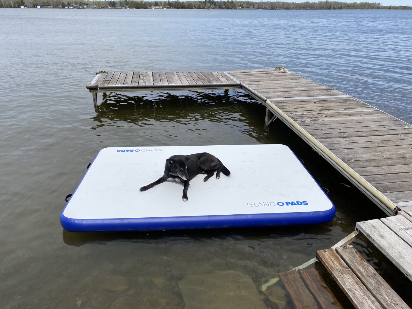 Island Dog Beach