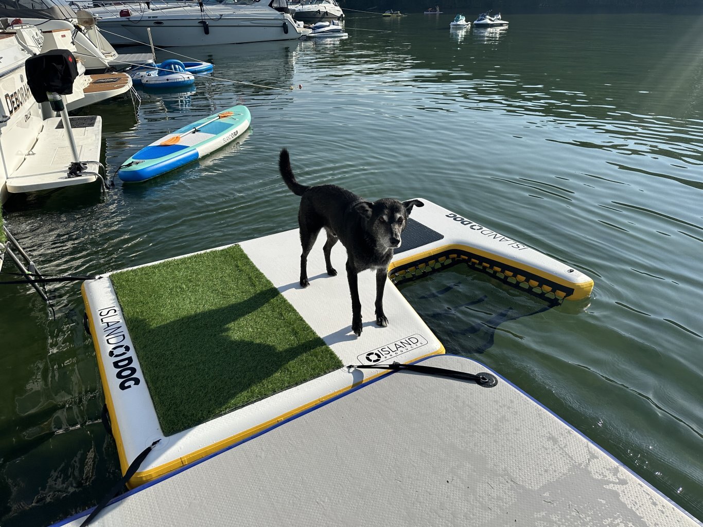 Sea Anchor Kit - 2 anchors