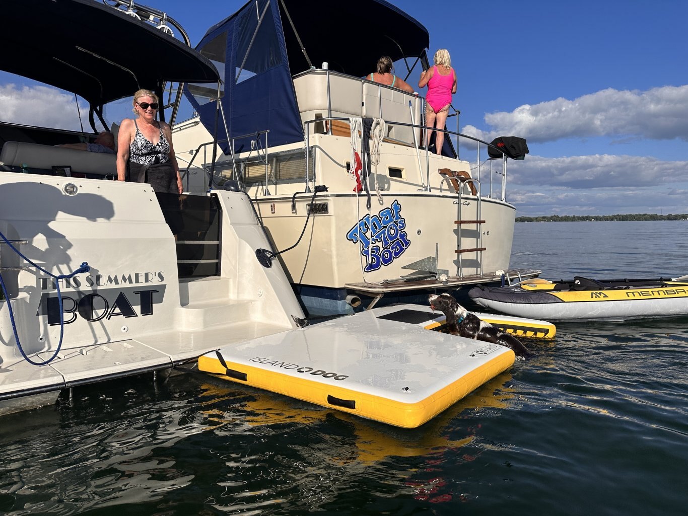 Small D-Ring Assembly 4 Pack