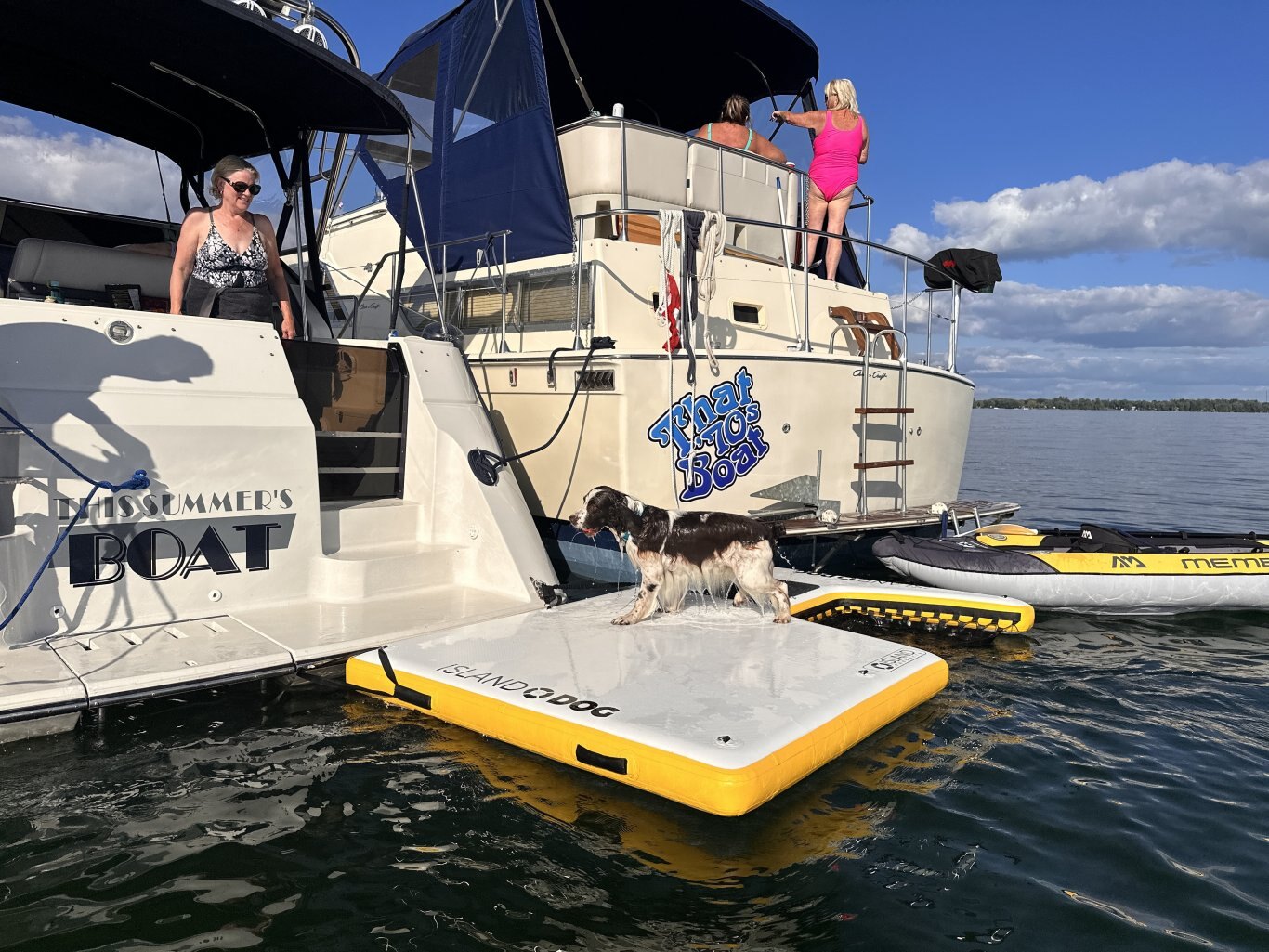 Pressure Relief Valve