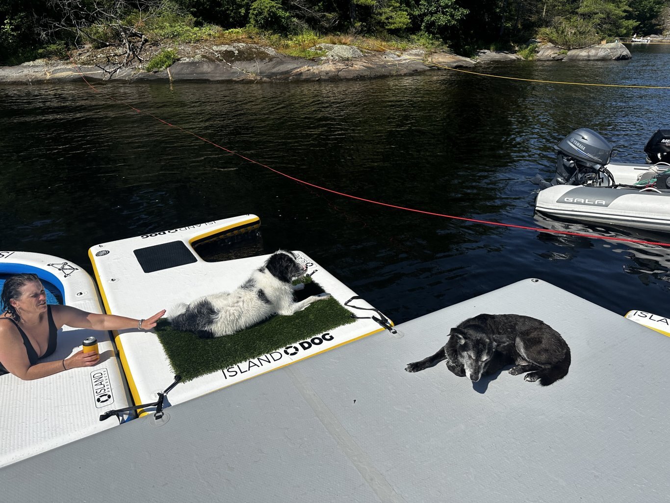 Large D-ring Assembly 2 Pack