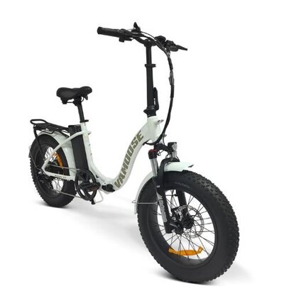 Vamoose RANGER ST Brilliant White and Winter Twig