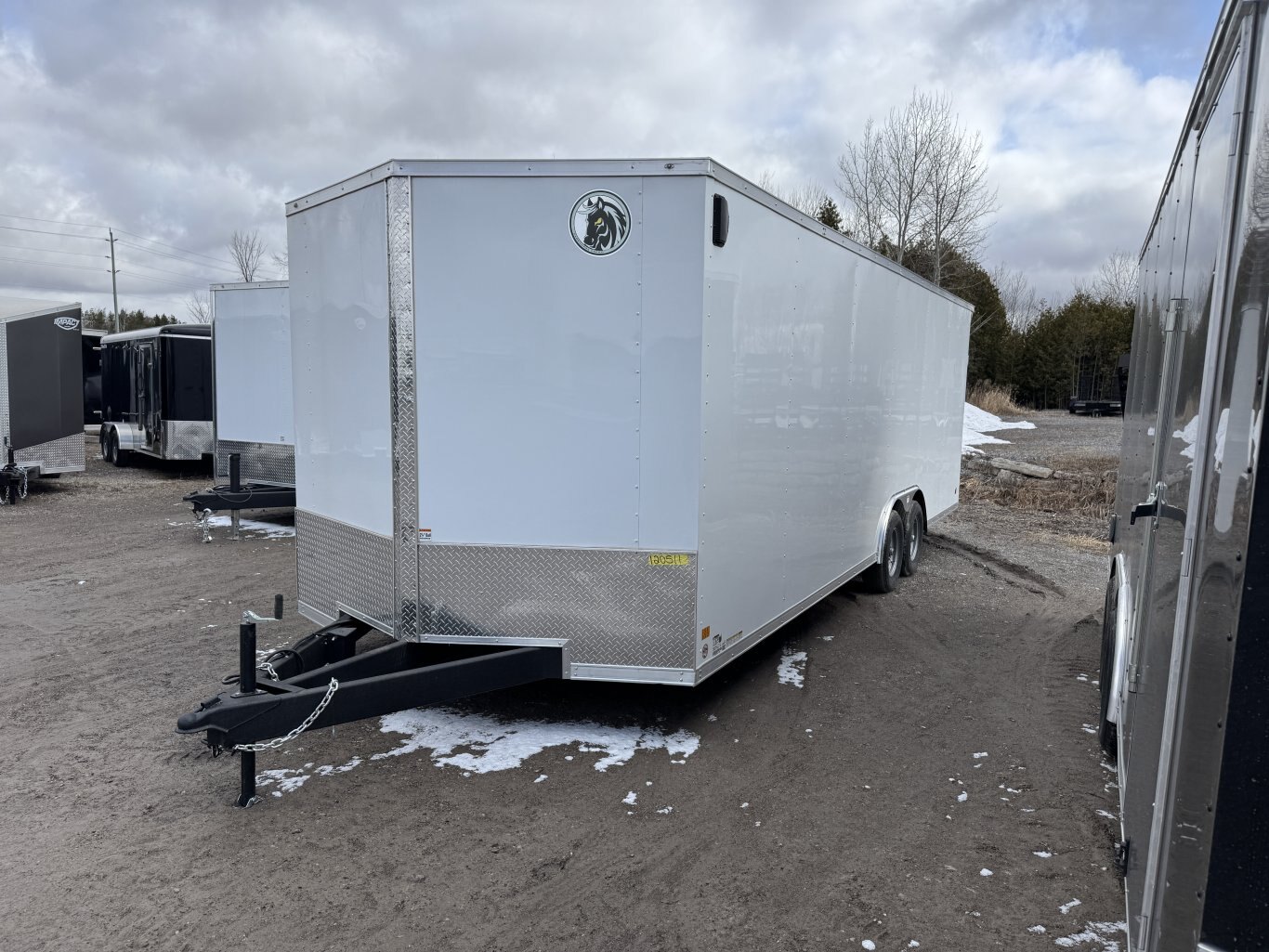 DARKHORSE 24' CAR HAULER