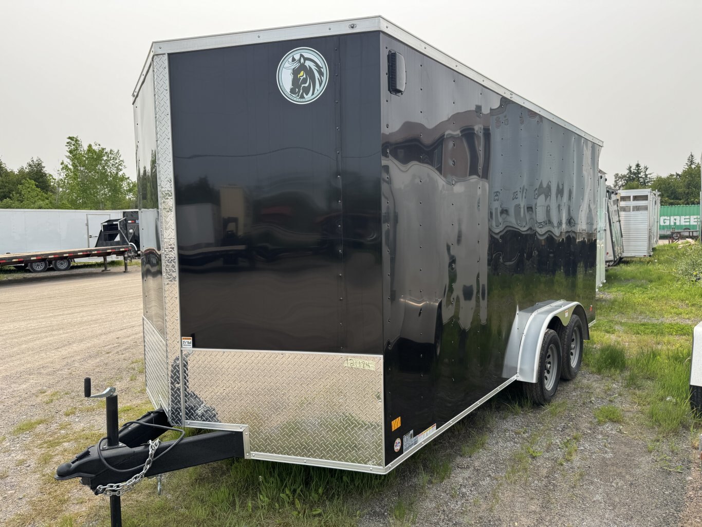DARKHORSE 16' ENCLOSED TRAILER