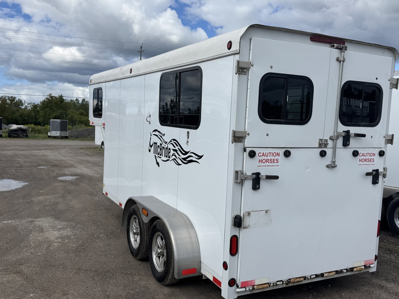 Gooseneck 2 Horse Straight with Dress