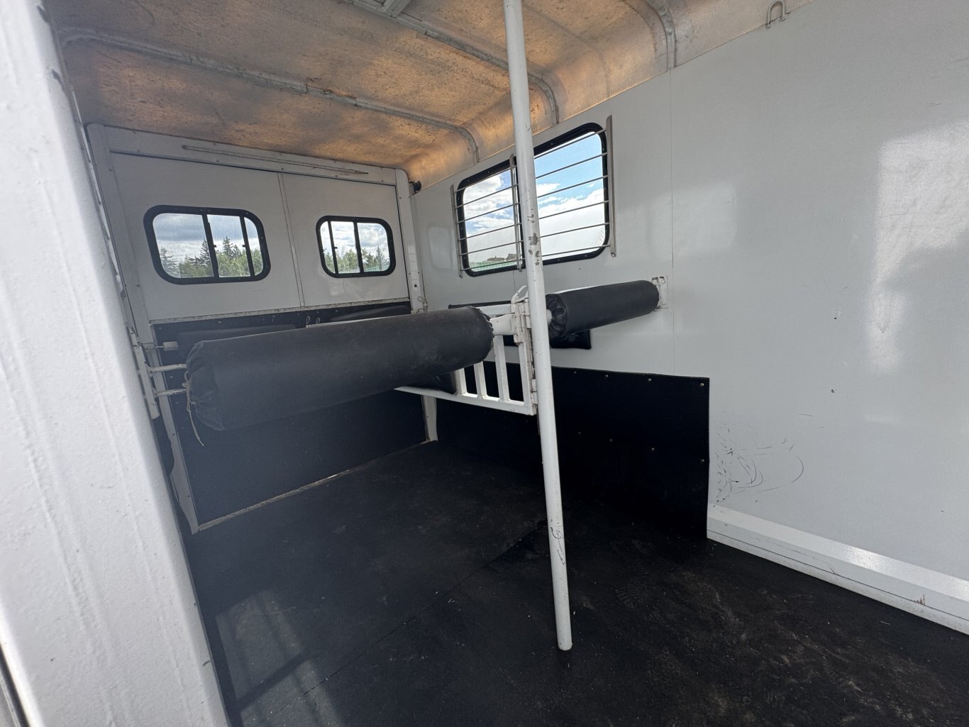 Gooseneck 2 Horse Straight with Dress