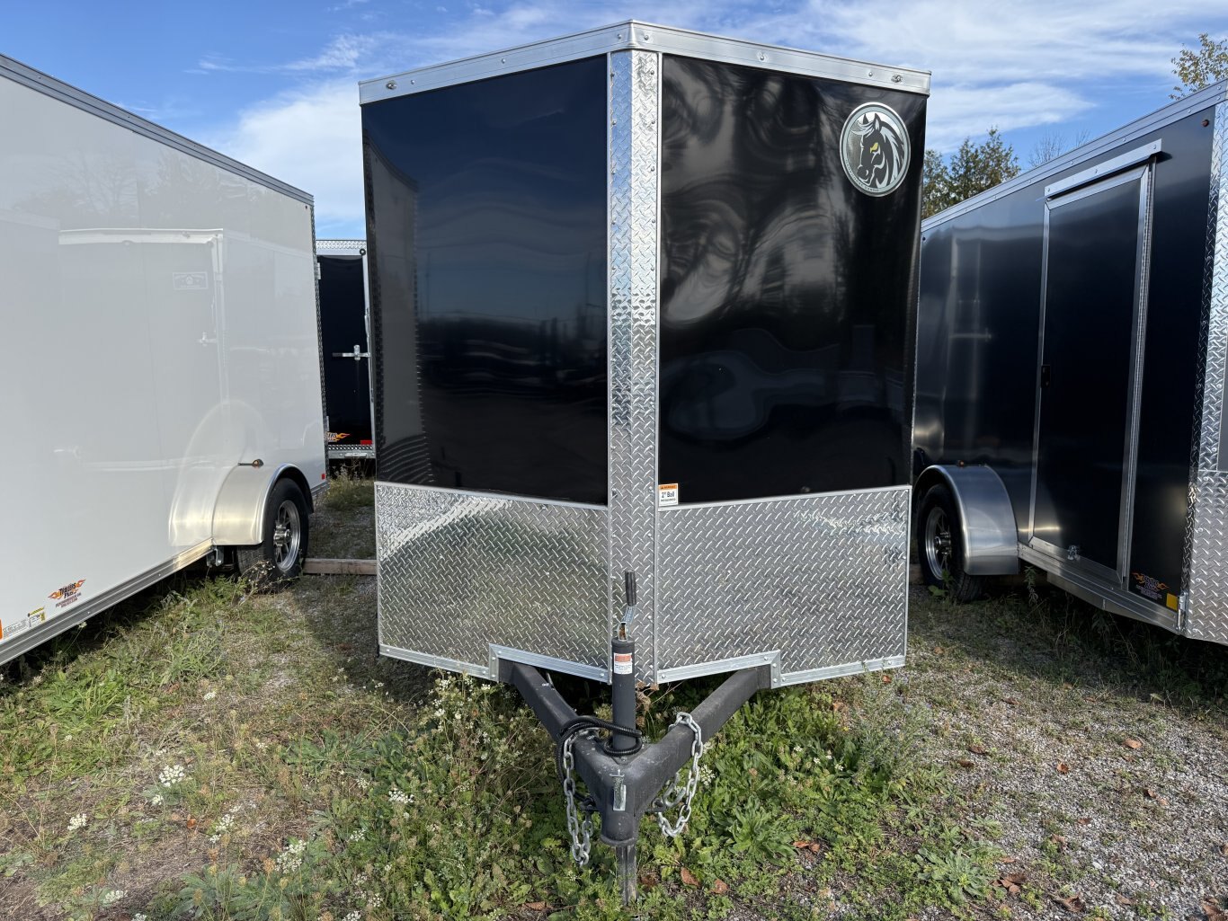DARKHORSE 12' CARGO TRAILER