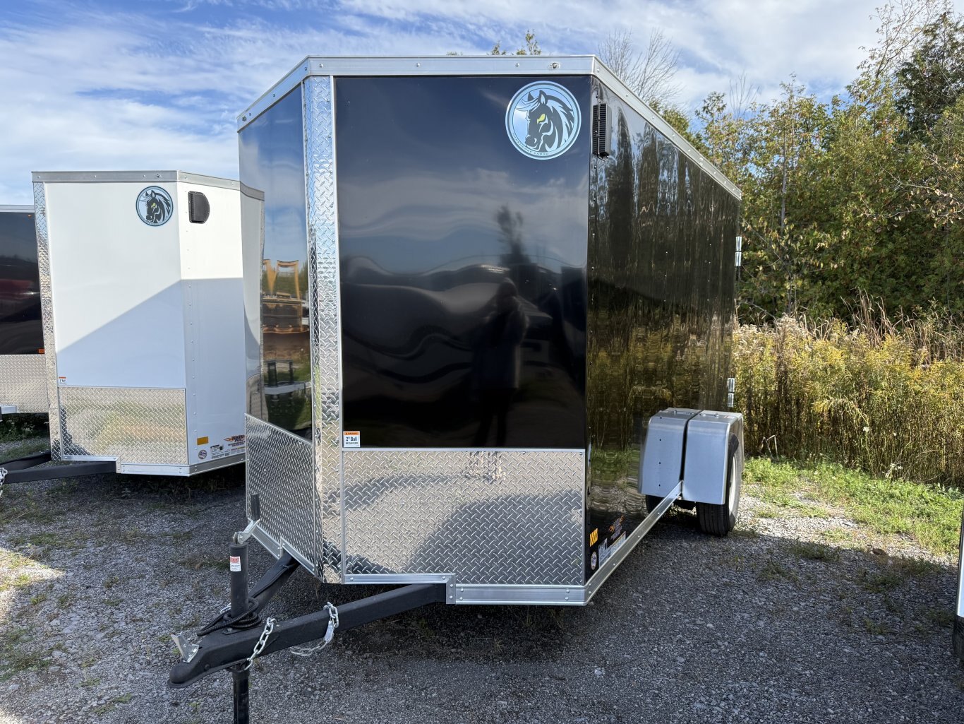 DARKHORSE 12' CARGO TRAILER