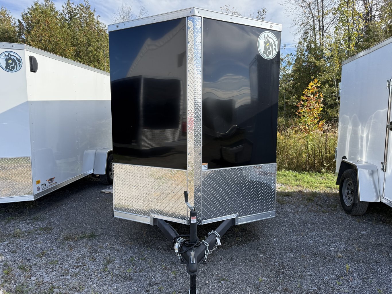 DARKHORSE 12' CARGO TRAILER